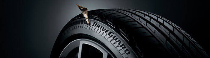 Bridgestone DriveGuard